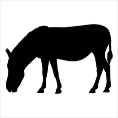 Animal Donkey Silhouette Vector illustration