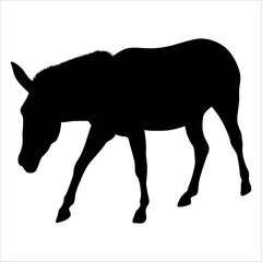 Animal Donkey Silhouette Vector illustration