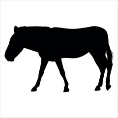Animal Donkey Silhouette Vector illustration
