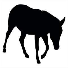 Animal Donkey Silhouette Vector illustration