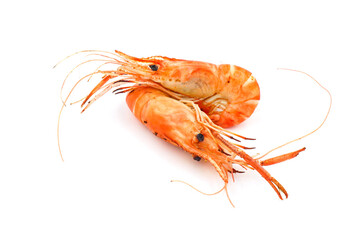 shrimps on white background