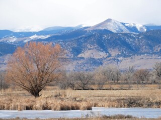 Golden glowing lakeside meadows and Rocky Mountains, Boulder, Colorado