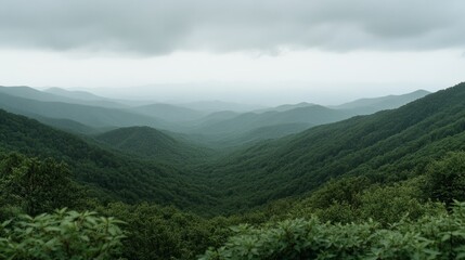 Naklejka premium Lush green valleys stretch to a misty horizon, where rolling hills blend into the soft embrace of overcast skies, evoking tranquility.