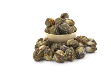 This is a close-up photo of a white background clam shell, commonly known as a cockle. seafood. This shell is often found on sandy.