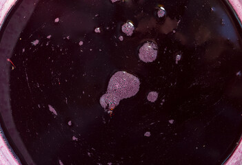 Wine production. Freshly squeezed grape juice.  The wasp is floundering in the foam.