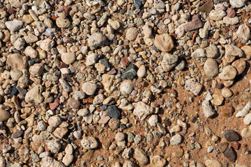 The coastline of the Red Sea. Sand, pebbles, corals, fossils. Background with a marine theme.