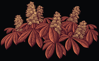Chestnut Blossom. Editable hand drawn illustration. Vector vintage engraving. Isolated on black background. 8 EPS