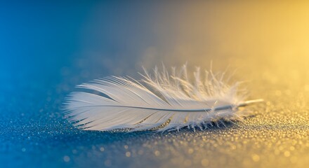 Soft white feather detail.  Beautiful bird nature.  Light texture close-up.