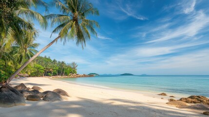 Tropical Paradise: Idyllic Beach Scene with Lush Palm Trees and Turquoise Waters