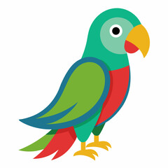 parrot on white background