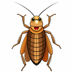 cockroach isolated on white background
