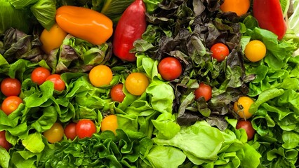 Healthy vegetable salad. Fresh vegetables.