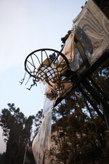 Pacific Palisades wildfire damage and destruction