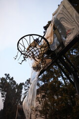 Pacific Palisades wildfire damage and destruction