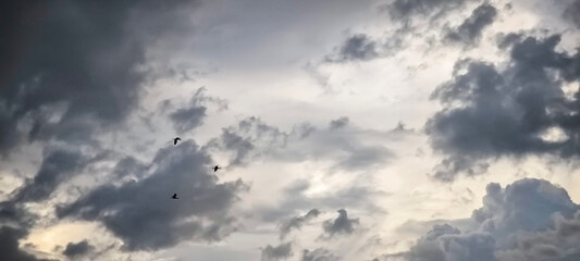 Sky and clouds for background