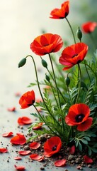 Fototapeta premium Red poppy seeds scattered on the ground in the garden, plant, herbarium, white