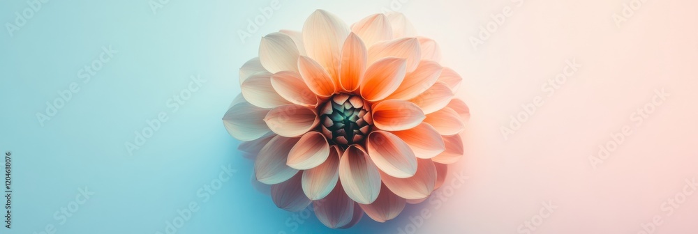 Aufkleber beautiful dahlia flower with soft colors against a gradient background showcasing natures delicate a
