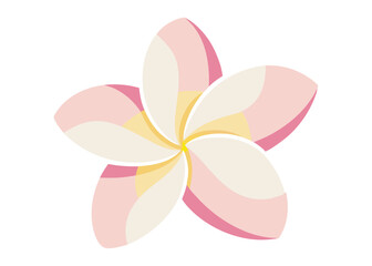 pink flower isolated vector on white