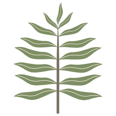 Aesthetic plant vector for decoration