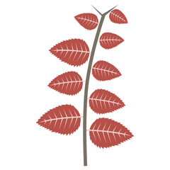 Aesthetic plant vector for decoration
