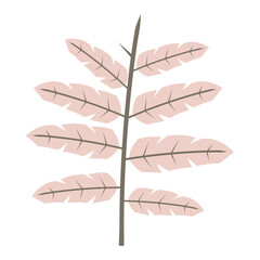 Aesthetic plant vector for decoration