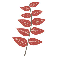 Aesthetic plant vector for decoration