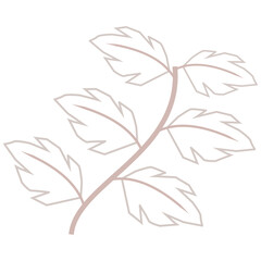 Aesthetic plant vector for decoration