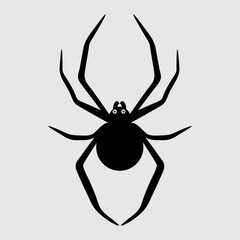 eight-legged insect vector, spider. black and white.