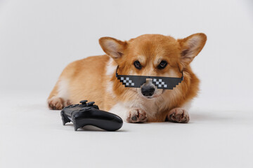 Trendy corgi dog wearing pixelated sunglasses with a gaming controller, cool and stylish