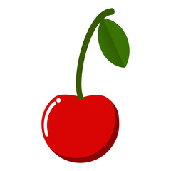 Cherry fruit vector