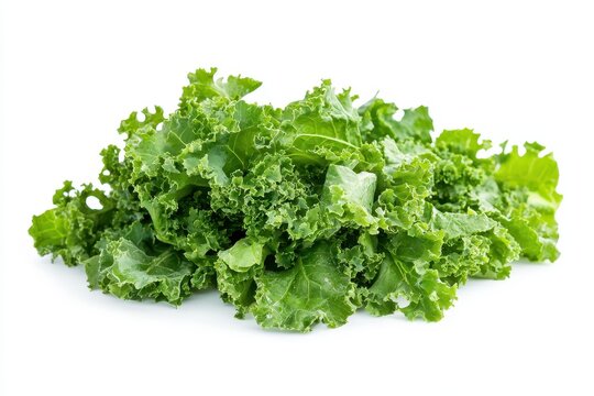 Fresh rapini or broccoli rabe set against a white backdrop