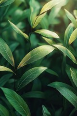 Close-up of Lush Green Grass in Hyper-Realistic Style with Soft Diffused Lighting and Shallow Depth of Field