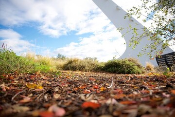 Low angle view of a modern Sundial Bridge soaring into a cloudy sky, surrounded by vibrant autumn foliage, perfect for architectural and landscape themes.
