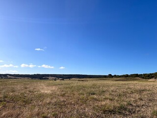 Kangaroo Island—Australian third largest—is regularly listed as one of the best islands in the...