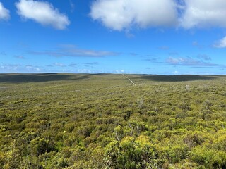 Kangaroo Island—Australian third largest—is regularly listed as one of the best islands in the world and is known for its fantastic beaches, authentic food-and-drink experiences, wild and untamed land