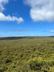 Fototapeta premium Kangaroo Island—Australian third largest—is regularly listed as one of the best islands in the world and is known for its fantastic beaches, authentic food-and-drink experiences, wild and untamed land