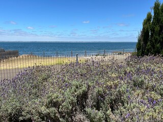 Obraz premium Kangaroo Island—Australian third largest—is regularly listed as one of the best islands in the world and is known for its fantastic beaches, authentic food-and-drink experiences, wild and untamed land