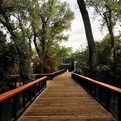 Obraz premium Serene wooded boardwalk leading to a modern eco-friendly building, ideal for architectural and environmental photography. 