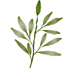 Green Leaves Watercolor