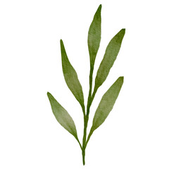 Green Leaves Watercolor