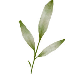 Green Leaves Watercolor