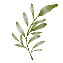 Green Leaves Watercolor