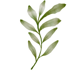 Green Leaves Watercolor