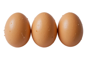 Three Fresh Brown Eggs with Water Droplets