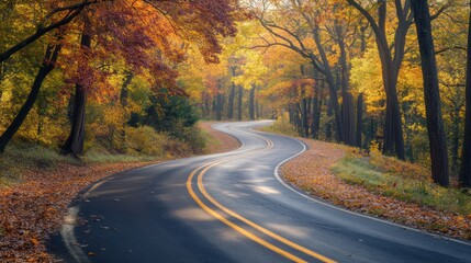 Fototapeta premium Autumnal Road Through Golden Forest