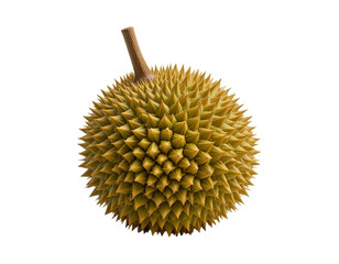 Magnificent Durian: A Close-Up of the King of Fruits