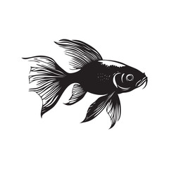 fish on white background