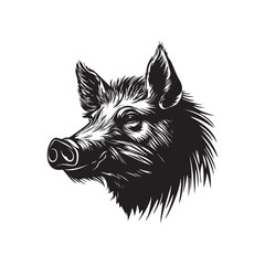 black and white wild boar head