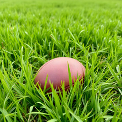 Fototapeta premium Two figures colliding in an intense tackle on a lush green grass field