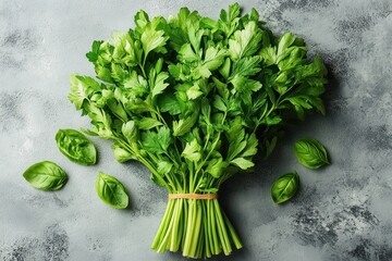 Fresh herbs bundle on soft white background